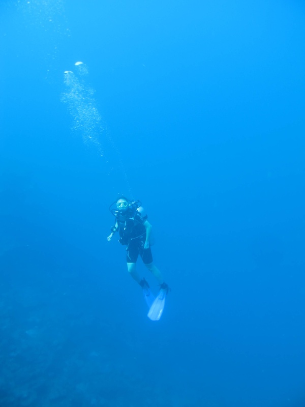 img_0286jpg_4247093626_o