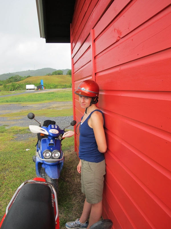 img_0378jpg_4246312427_o