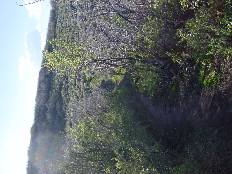 dsc01267jpg_147404203_o