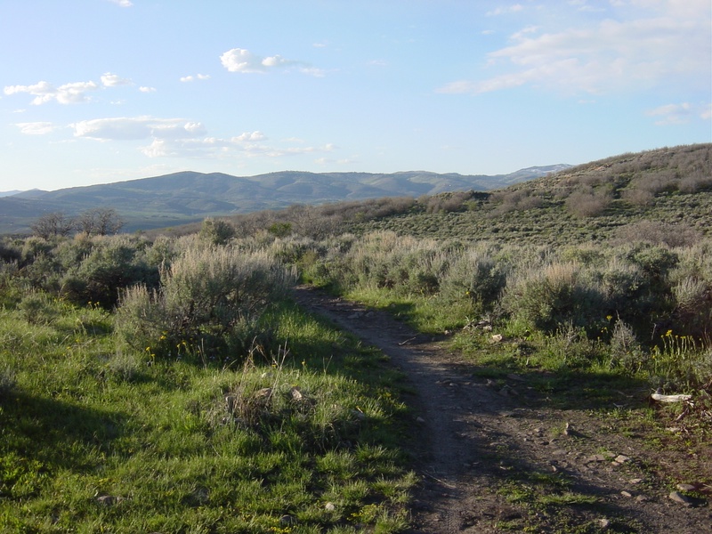 dsc01276jpg_147404871_o