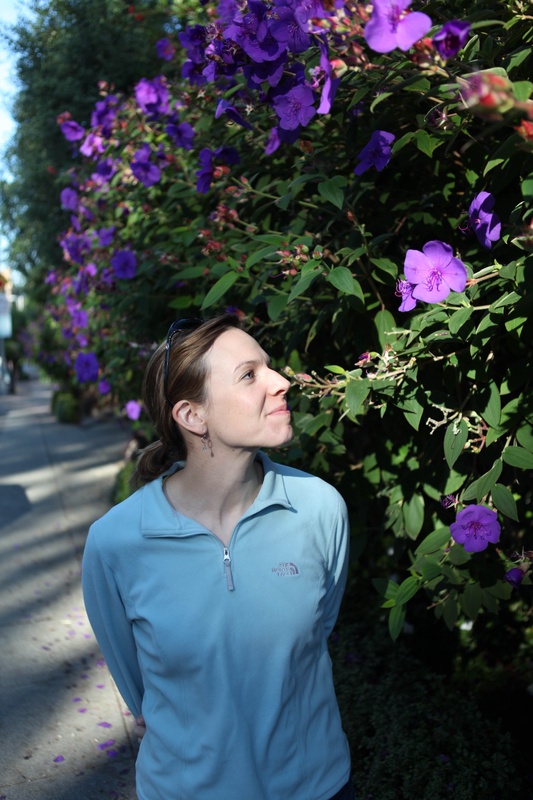 img_4113jpg_4115513764_o