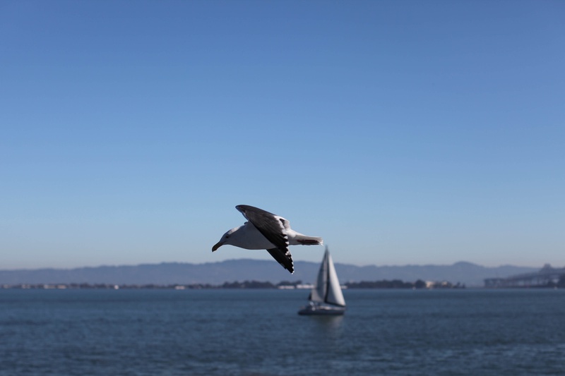 img_4241jpg_4115496332_o