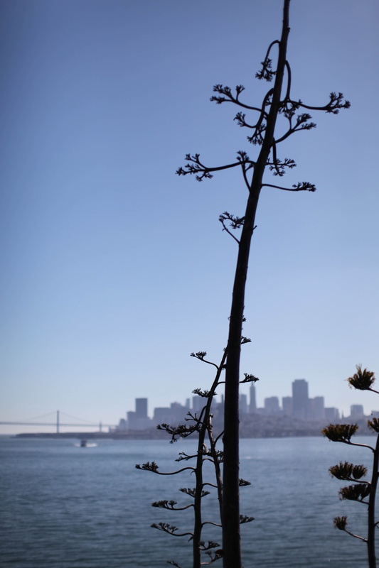 img_4291jpg_4115488786_o