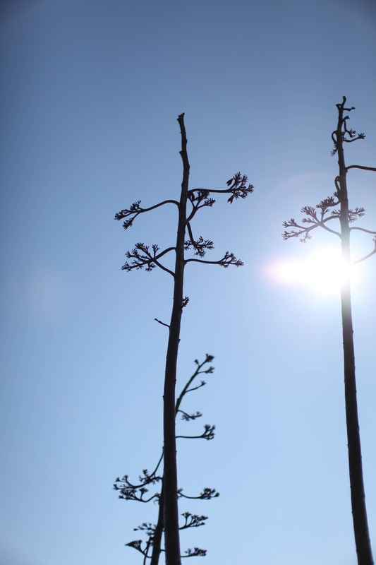 img_4293jpg_4115488098_o