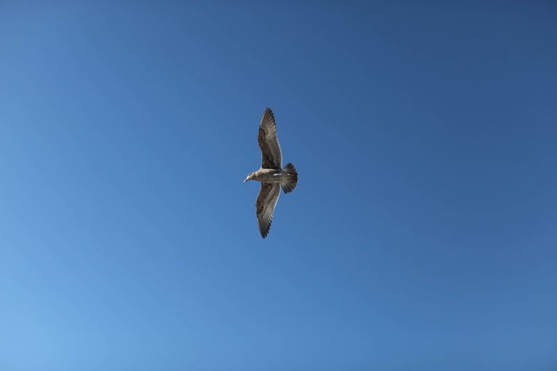 img_4359jpg_4114708535_o