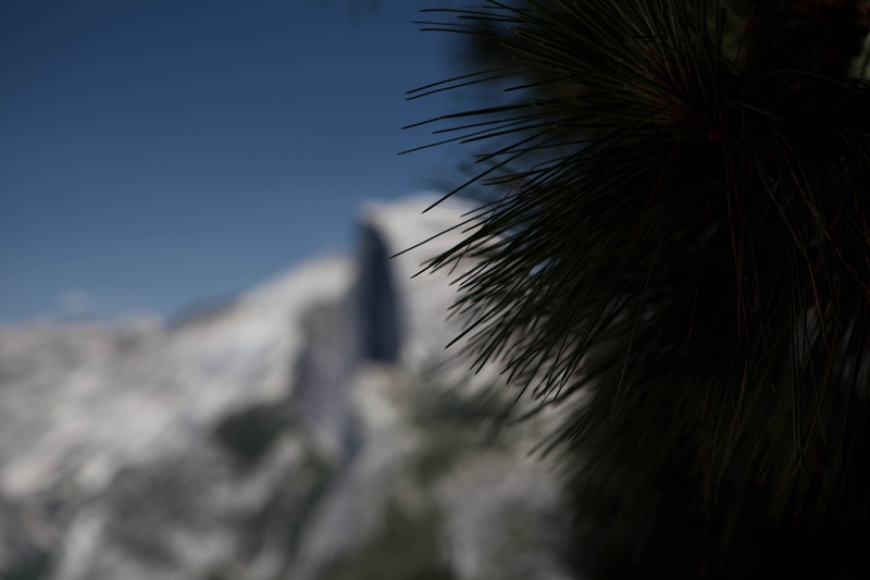 needles_4825574935_o