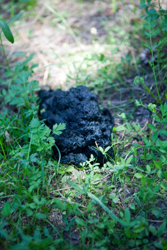 smokey-was-here_4826185256_o