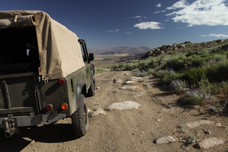 brd-below_19626002923_o