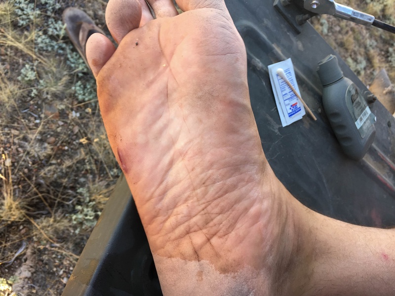 img_1838jpg_20220737086_o