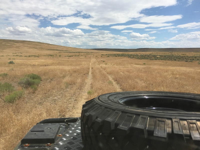 img_1886jpg_19626055383_o