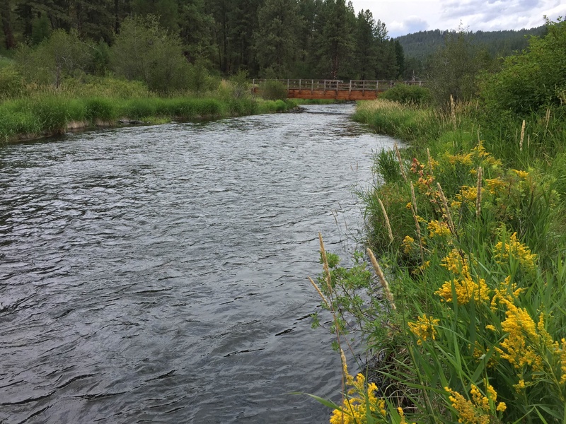 img_2073jpg_20221178896_o