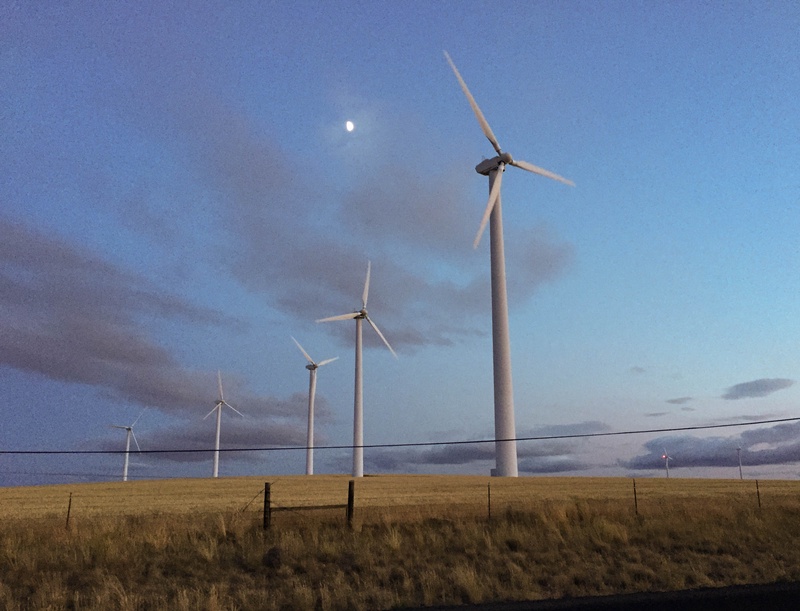 img_2127jpg_20253269571_o