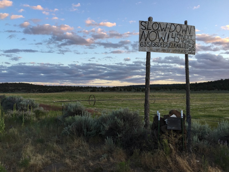 slow-down_20238649742_o