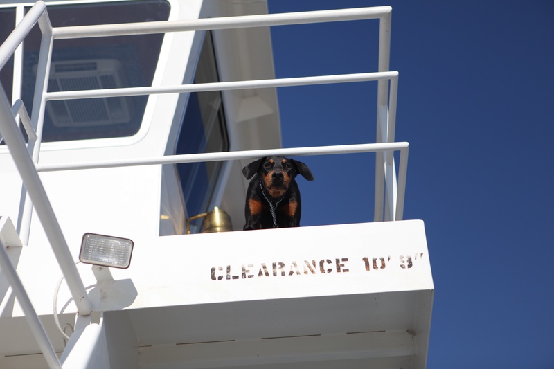 ferry-captain_5115026268_o