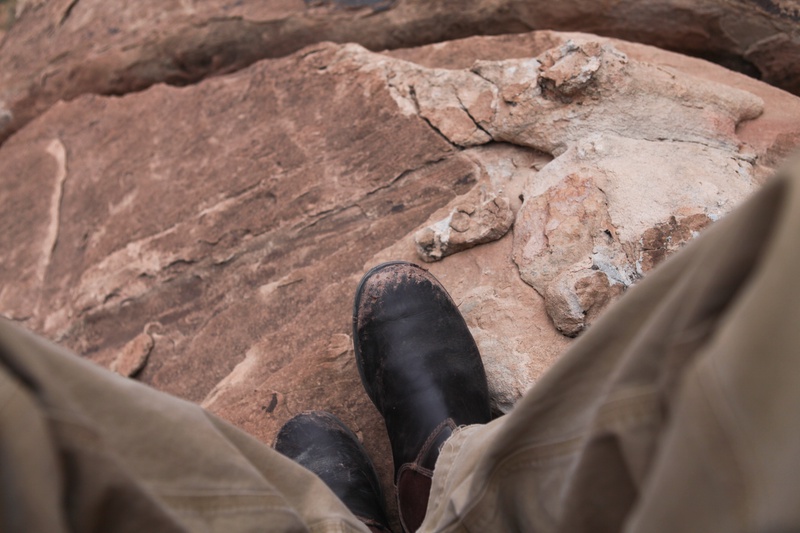 blunnies_6940223254_o