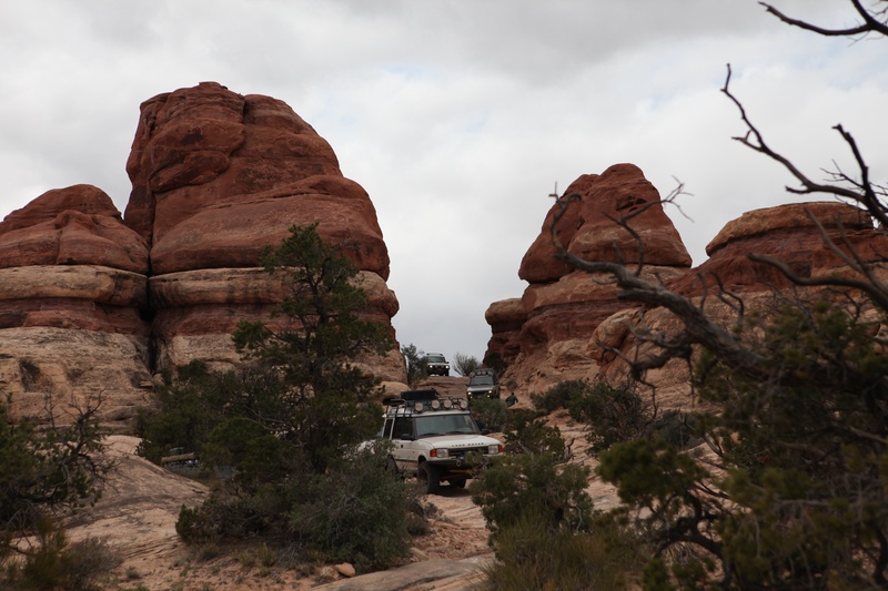 needles_6940224624_o