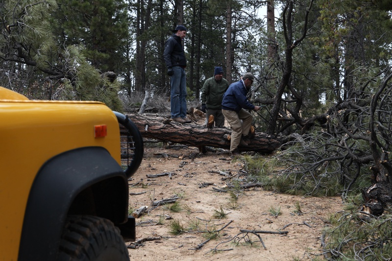 path-is-blocked_7086278011_o