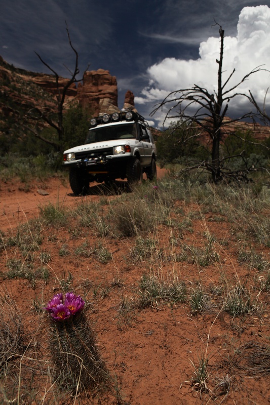 leaving-camp_8762628826_o