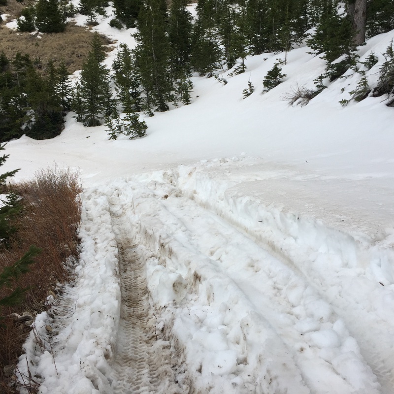 27742972523_a157115c93_o