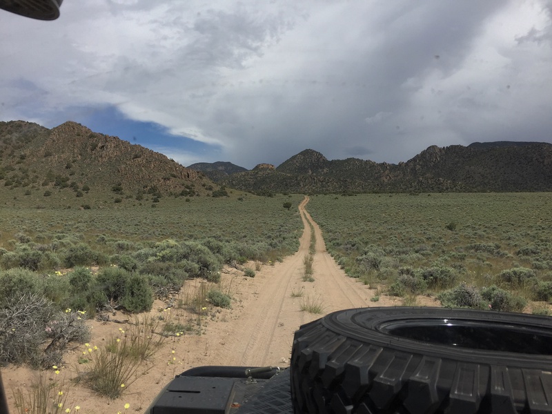 28255074602_1d72ed166d_o