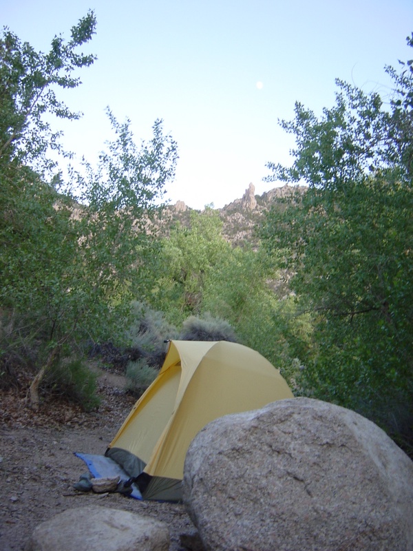 more-painter-spring_520787812_o