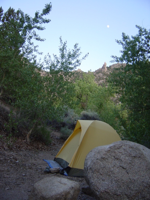 more-painter-spring_520788060_o